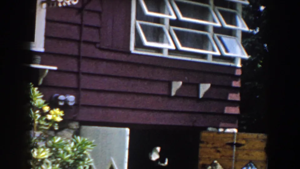 1960 Brighton, Michigan frame with open white awning windows, maroon siding, shrubs, foundation detail, and a wood panel at the house exterior.