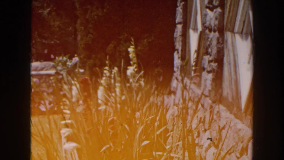 Brighton, Michigan 8mm frame with garden flowers, stone wall, lawn, and warm exposure flare over the image.