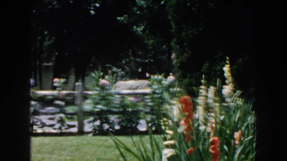 Brighton, Michigan 1960 8mm frame showing gladiolus in a shaded residential yard with lawn and garden structures behind.