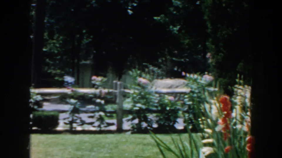 1960 Brighton, Michigan home-movie view of a landscaped yard with white fence posts, stone edging, flowers, and dense trees.