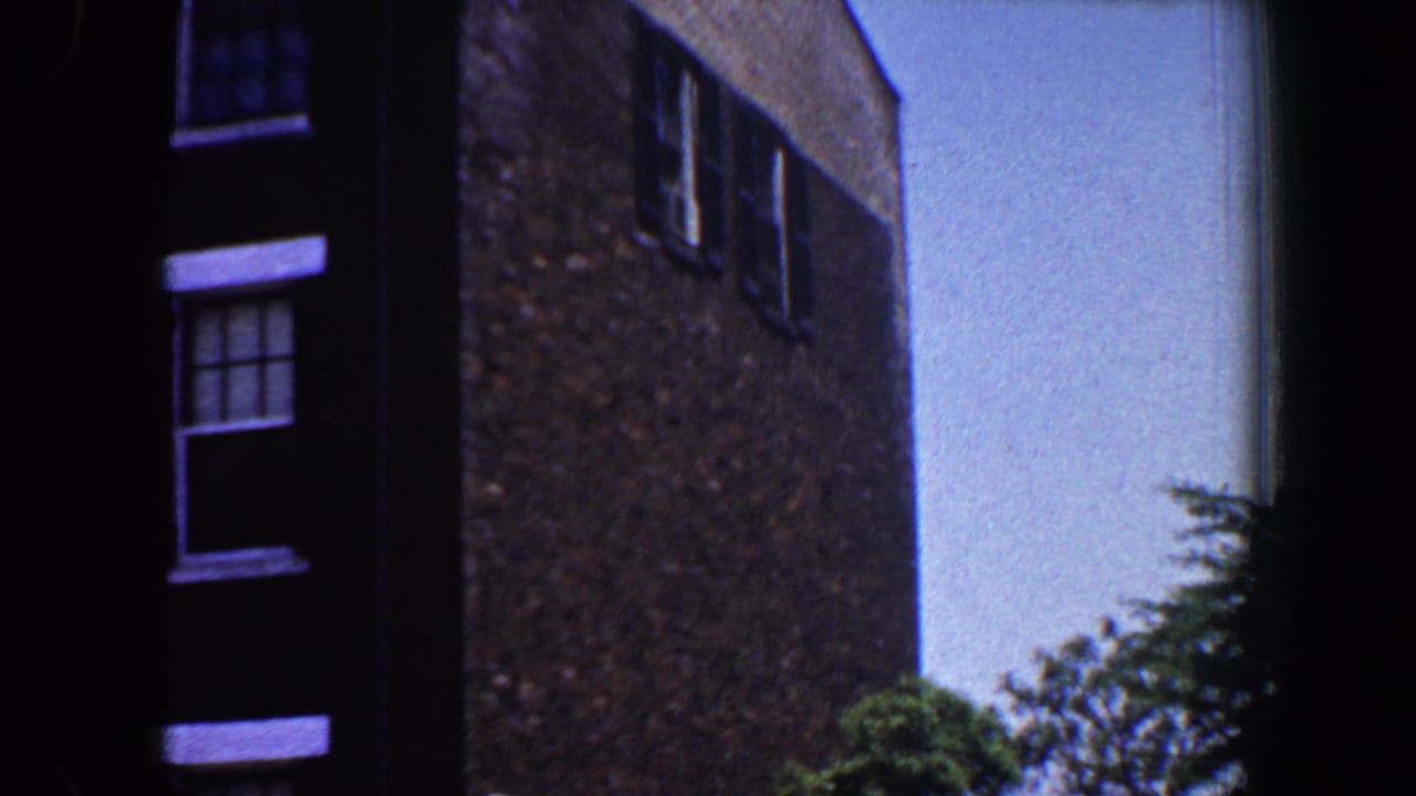 Brown brick buildings with dark windows, trees, and blue sky.