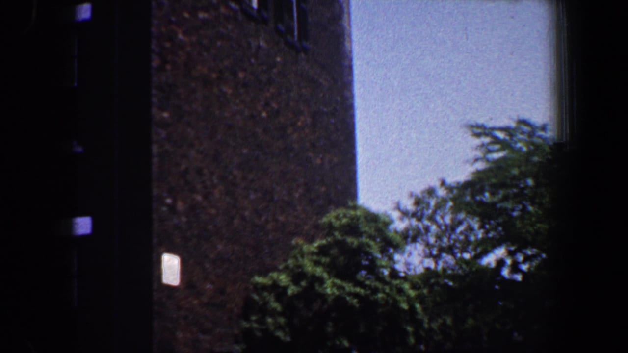 Tall brick wall, pale wall section, trees, and a small light sign.