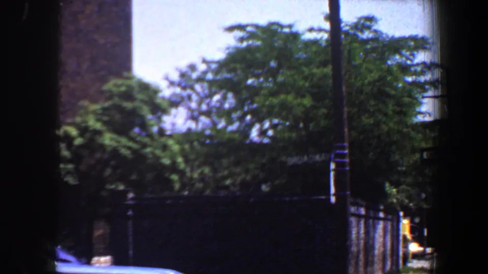 1964 Saint Louis exterior frame with leafy trees, a brick wall edge, dark fence or railing, and sunlit blue sky.