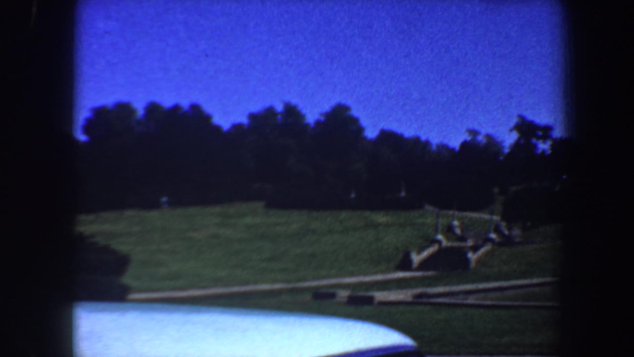 1964 Saint Louis frame with a grassy landscaped area, paved walkway, brick-bordered water feature, trees, and distant figures.