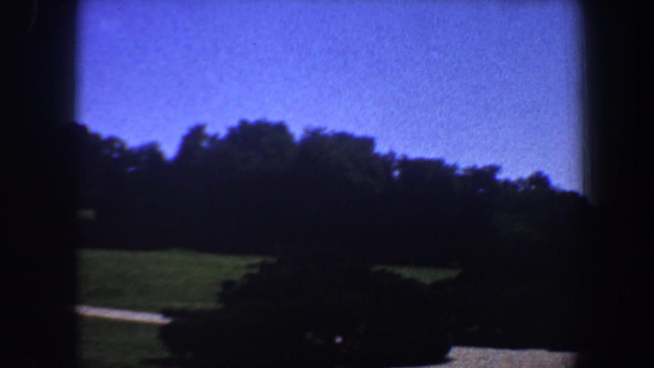 Tree-lined green lawn under a bright blue sky with dark 8mm frame edges.