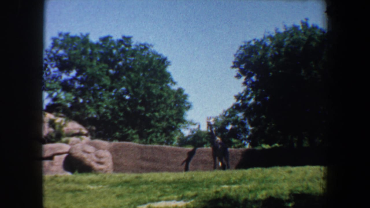 Rocky zoo enclosure with grass, trees, and distant visitors at right.