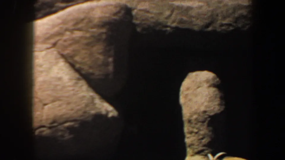 The final frame emphasizes the zoo habitat rockwork, with a dark recess, sunlit boulder surfaces, and trees above the enclosure.