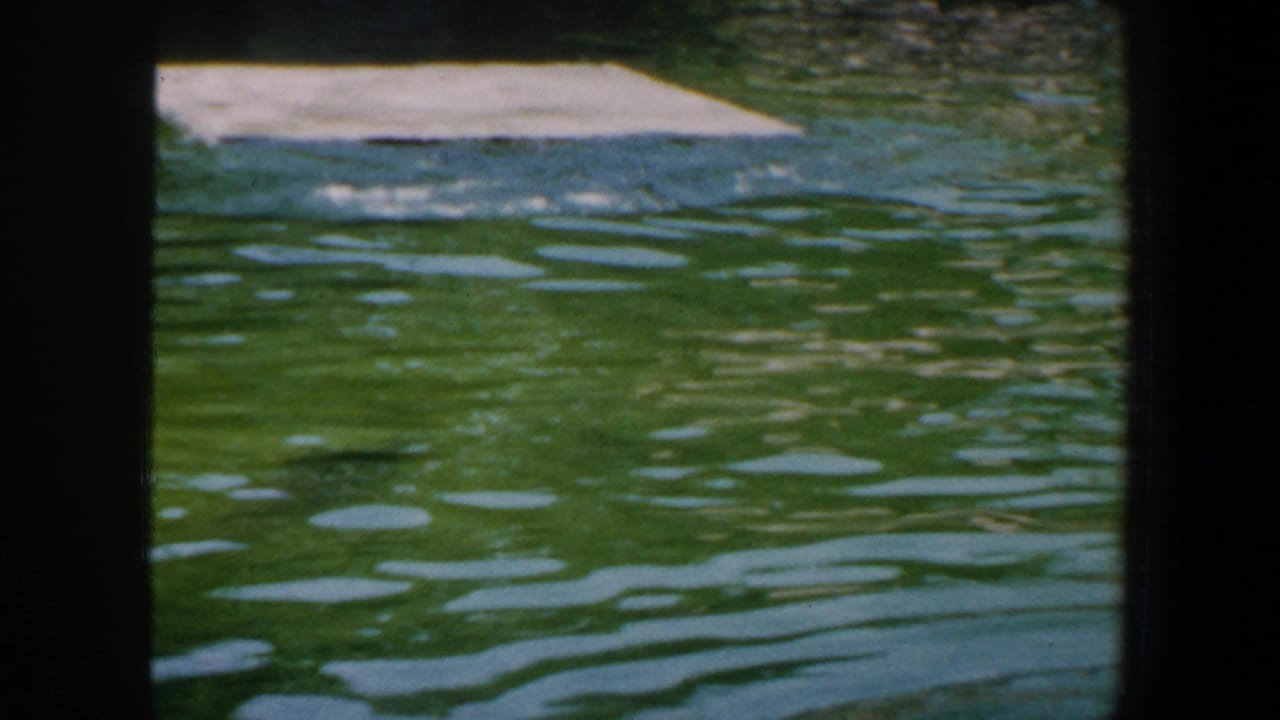 Green zoo pool with concrete platforms and dark enclosure edges.
