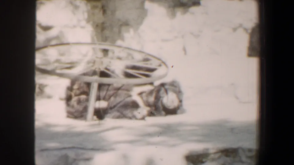 1964 Saint Louis zoo home-movie frame showing a bear low on the ground near a bicycle wheel or enrichment object in a bright enclosure.