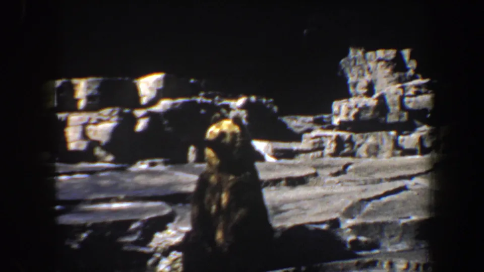 A brown bear sits upright against a rocky enclosure backdrop in 1964 Saint Louis home-movie footage.