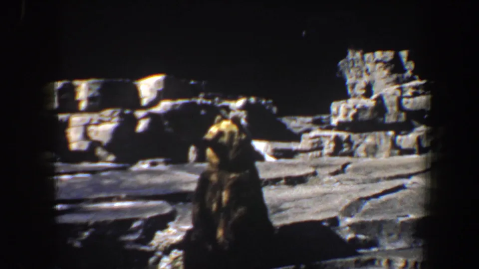 A brown bear sits near the center of a rocky zoo enclosure in 1964 Saint Louis home-movie footage, with artificial stone ledges and a dark recessed background.