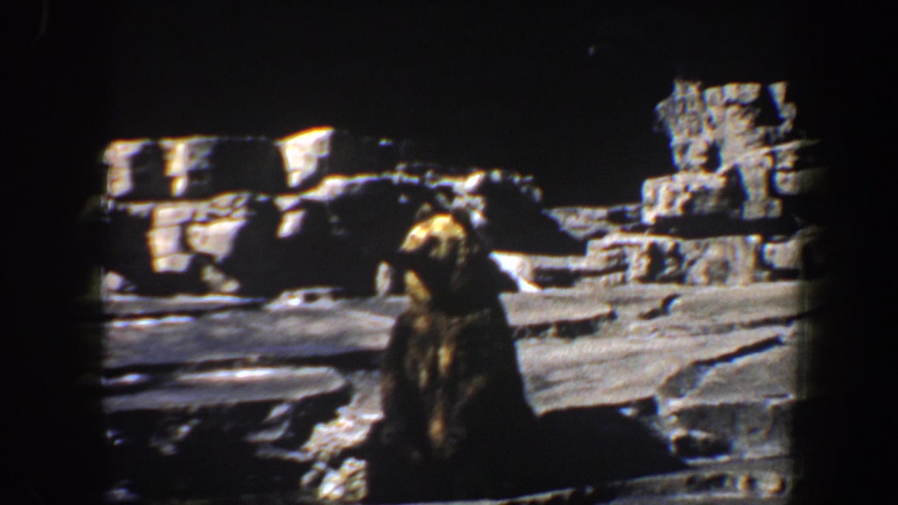 The bear remains seated inside the rocky Saint Louis Zoo enclosure, framed by dark shadows, pale stone ledges, and the soft contrast of 8mm film.