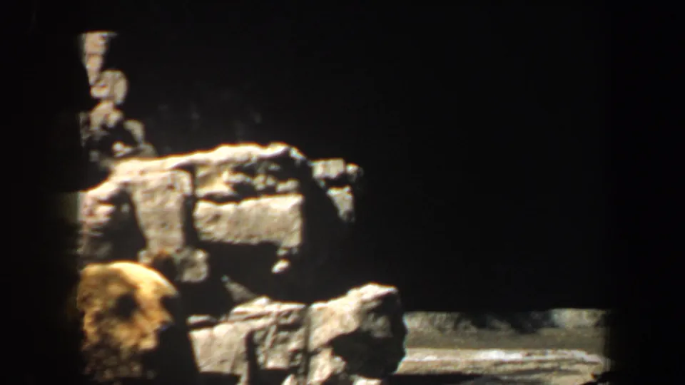 The final frame catches the bear partly low in the Saint Louis Zoo enclosure, with a bright rock ledge, dark rear wall, and strong 8mm contrast.
