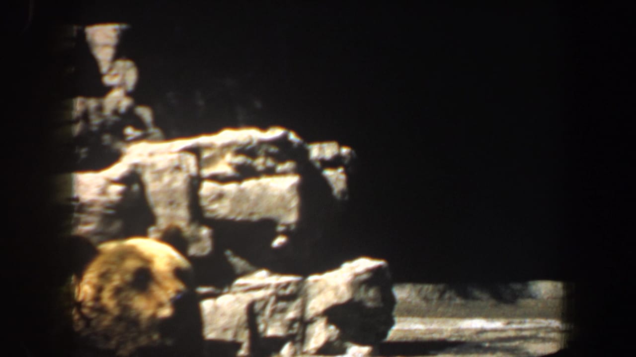 Bear partly visible near artificial rocks in a dark zoo enclosure.