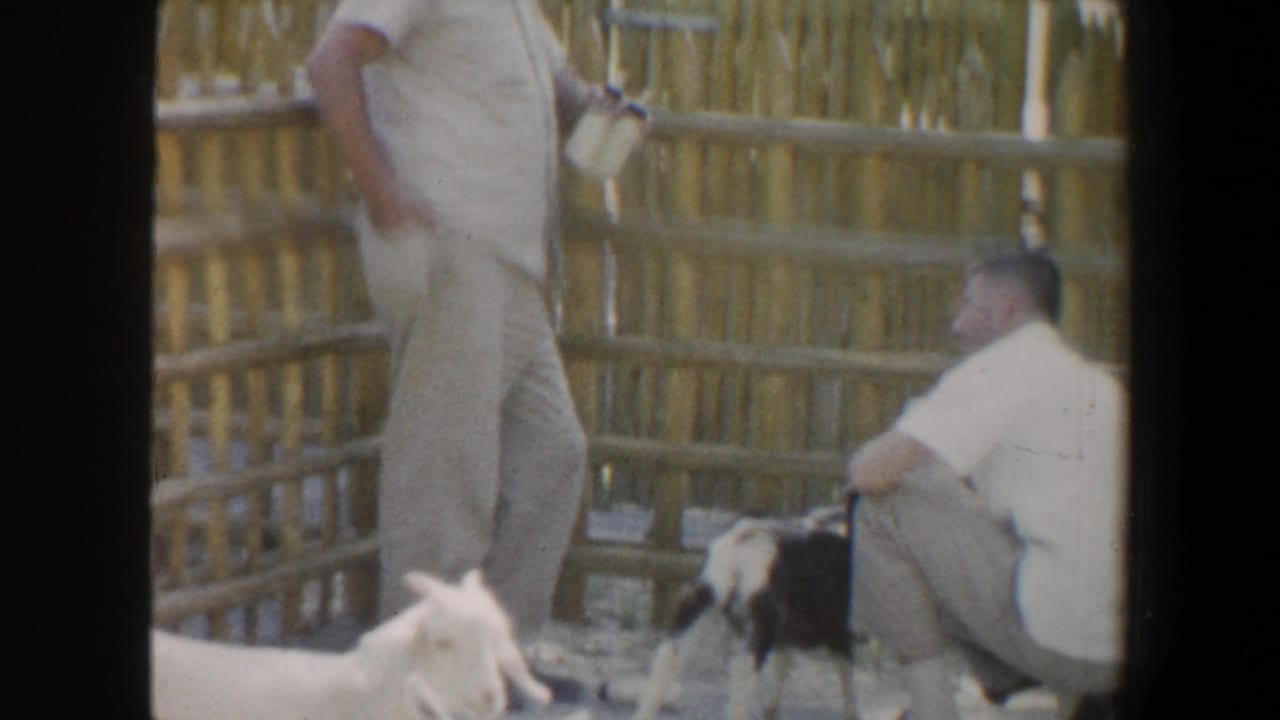 Two adult men near goats beside a wooden fence.