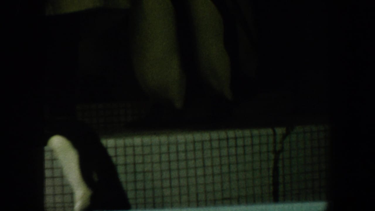 Dark penguin enclosure with birds behind wire mesh.