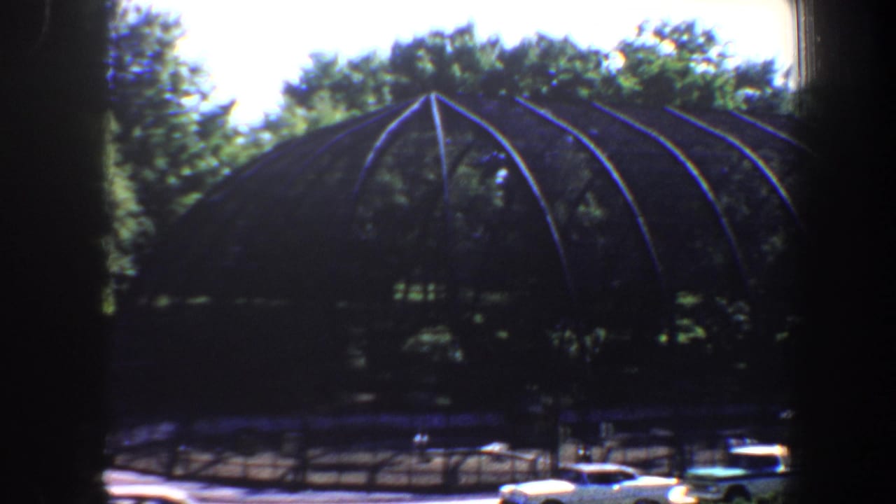 Arched glasshouse structure behind trees with parked cars along the road.