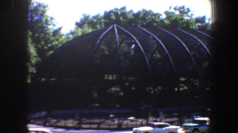1964 Saint Louis park view showing a large arched greenhouse-like structure, trees, and mid-century cars in the foreground.