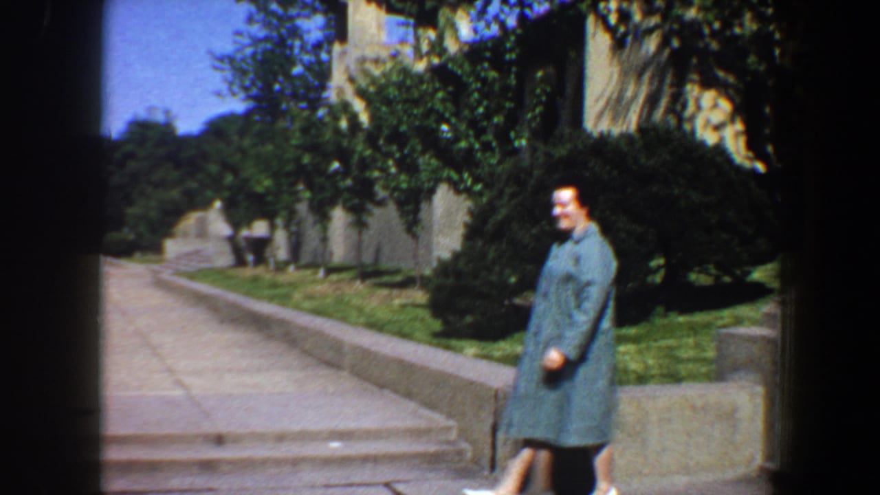 In 1964 Saint Louis, a woman in teal walks along a sunlit stone pathway bordered by lawn, shrubs, and mature trees.