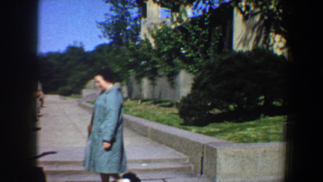 Woman in teal stands or walks near a stone walkway with shrubs and trees behind her.