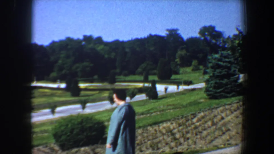 A 1964 Saint Louis park view shows the woman in a blue coat near the foreground while paths, lawns, shrubs, and mature trees fill the background.
