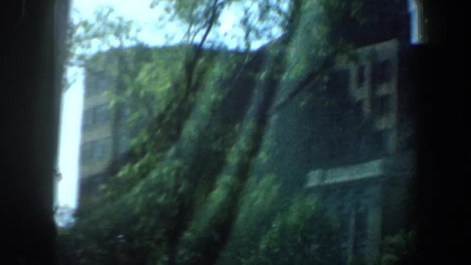 1964 Saint Louis home-movie frame with trees and a shaded building wall glimpsed through the side window of a moving car.