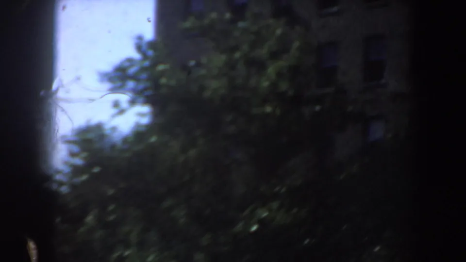 1964 Saint Louis nighttime home-movie frame with soft, blurred foliage and a shadowed multi-story building facade.