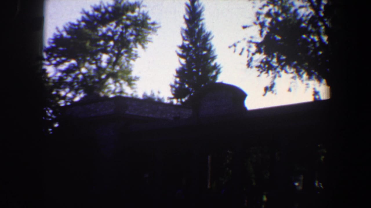 Silhouetted building and trees with a bright sky behind them.