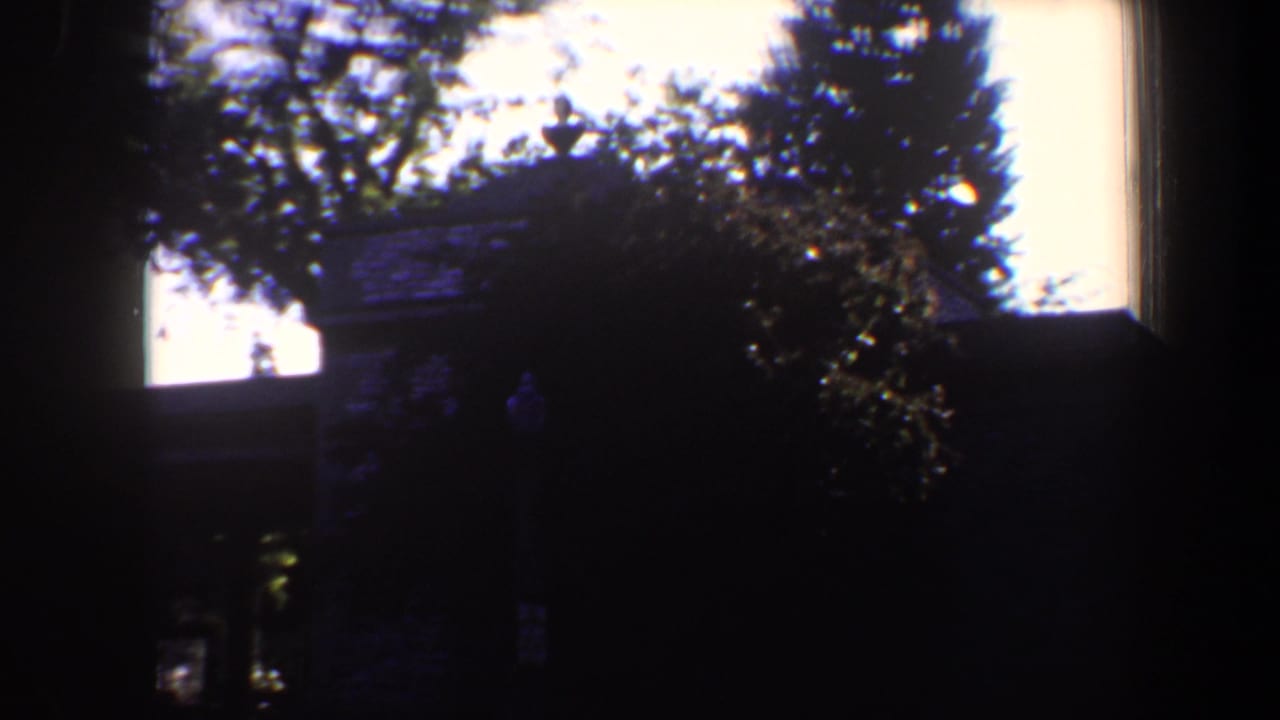 Tree silhouettes and dense foliage obscure most of a house exterior.