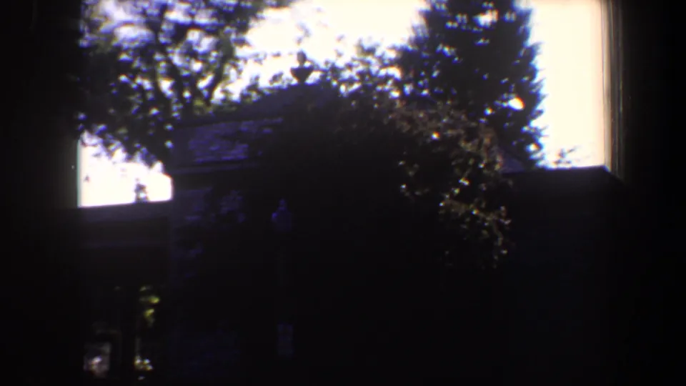 A dark, tree-framed residential exterior in Saint Louis, with foliage and roofline visible in strong contrast.