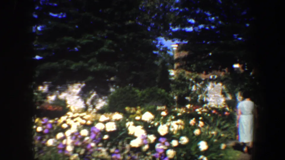 A figure in a light dress appears at the right edge of a flower garden, with dense blooms and dark tree framing across the scene.