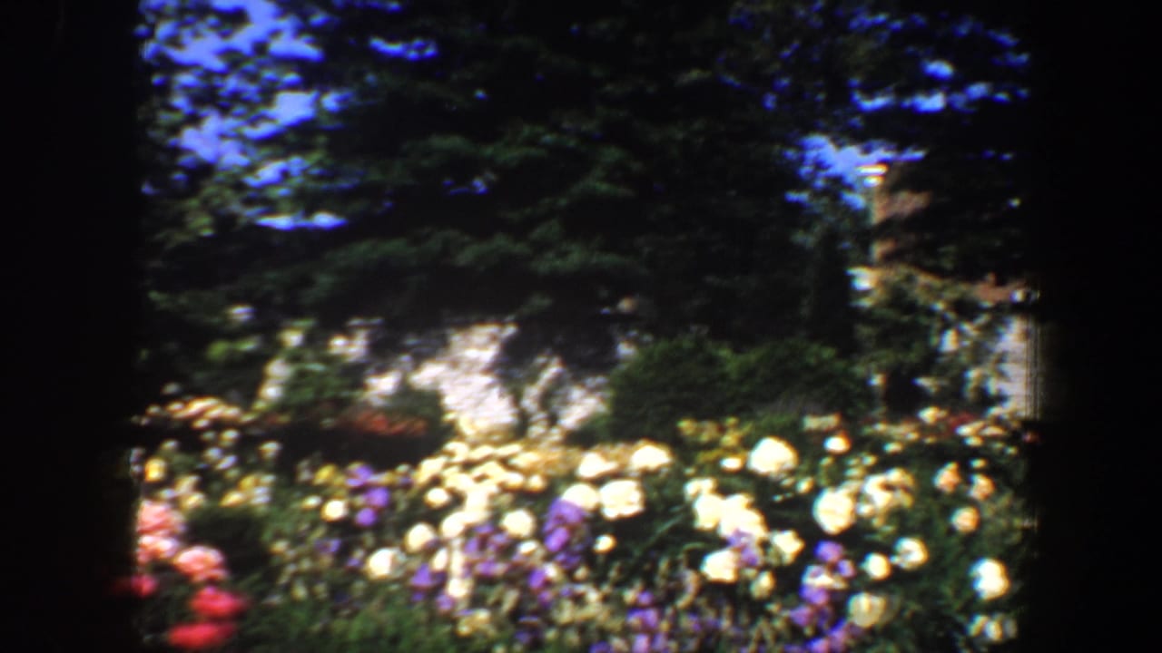 Flower beds with pale yellow, white, purple, and red blooms beneath trees.