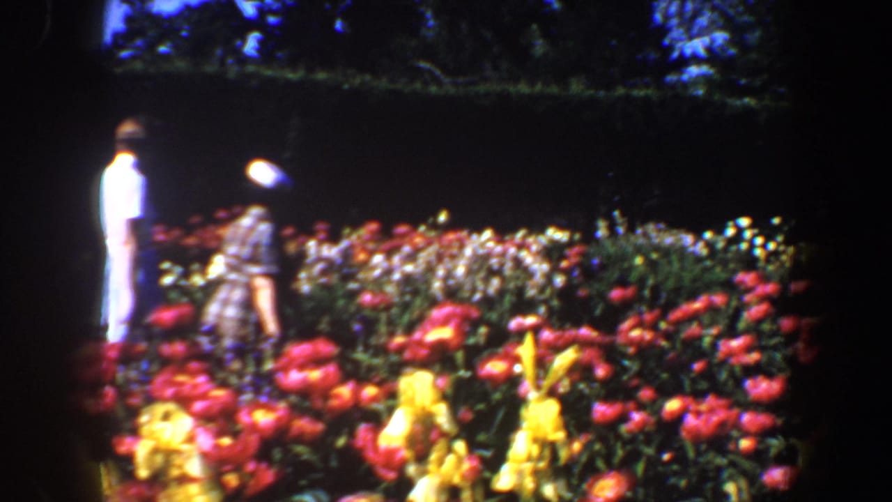 Two adults stand among bright flower beds in a garden.