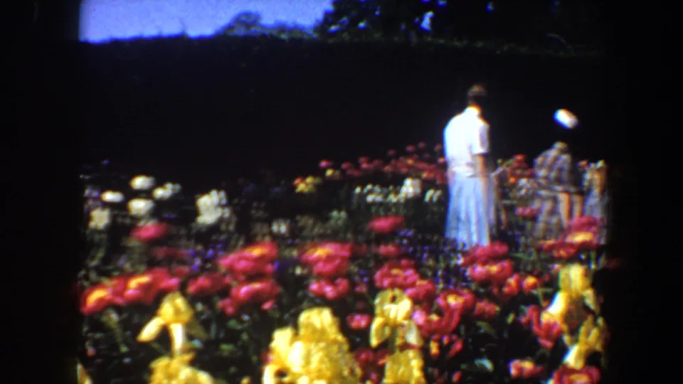 Two adult visitors walk away through dense flower beds in a 1964 Saint Louis 8mm home movie, partly softened by motion and grain.