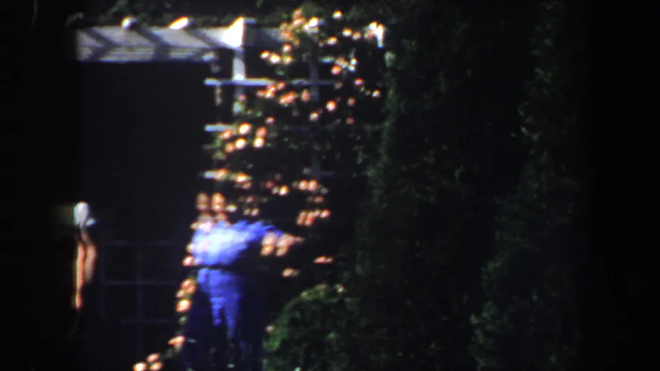 Visitors appear among flowers and shaded greenery in the Saint Louis garden footage from 1964.