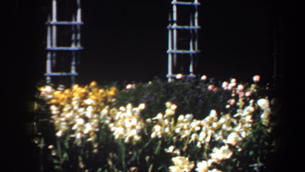 Bright flower beds and two white trellises seen against a dark garden backdrop.