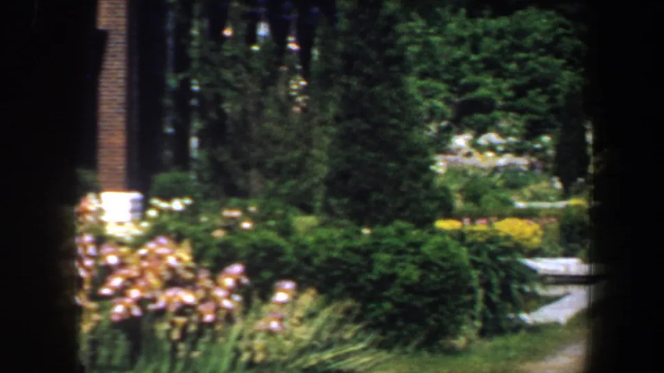 Saint Louis garden view with shrubs, white and pink flowers, brick columns, and a pale path or edging at right.