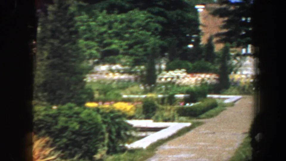 1964 Saint Louis garden view with a curving path, planted beds, mature trees, and pale stone edging or benches in soft 8mm color.