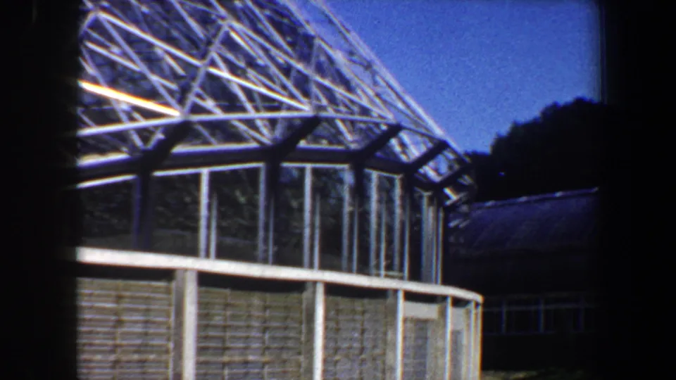 1964 Saint Louis frame showing the dome's lower lattice, glass wall panels, a neighboring roofline, and dark trees or shadows at right.