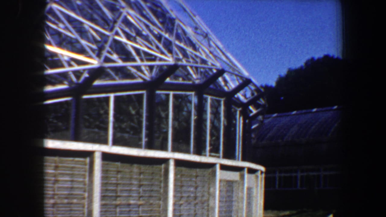 Curved glass and metal greenhouse seen from outside under blue sky.