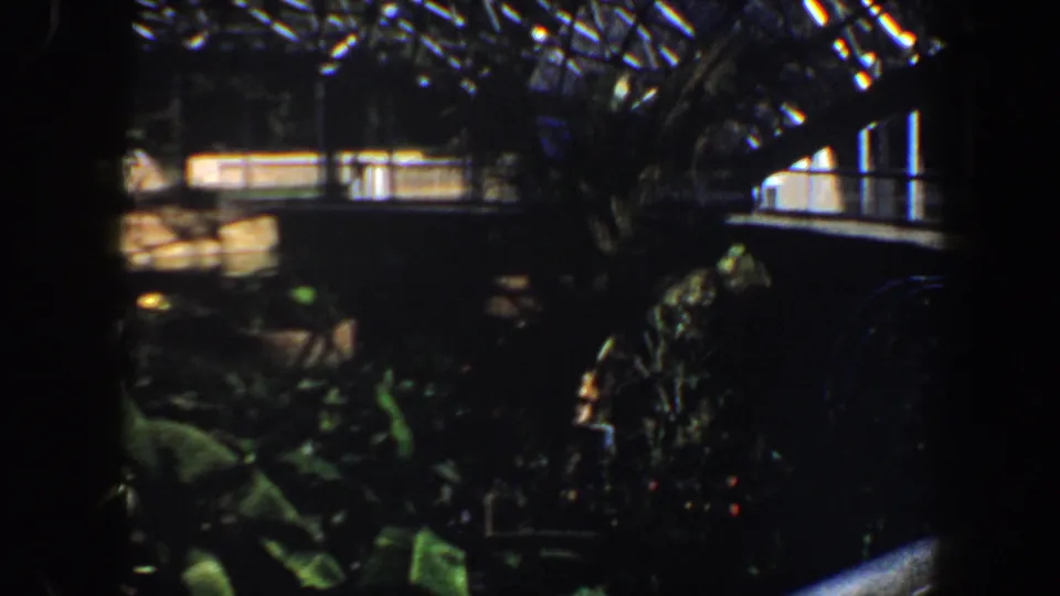 Dim 8mm frame of a Saint Louis greenhouse interior with glass roof supports, railings, and foliage.