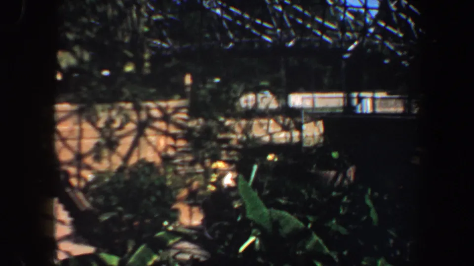 1964 Saint Louis 8mm still with sunlit interior wall, glass ceiling lines, and foreground tropical foliage.