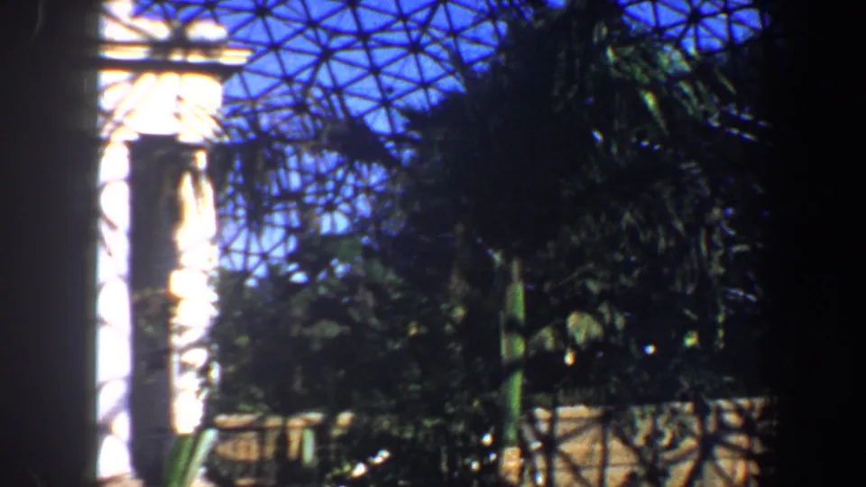 1964 Saint Louis greenhouse frame showing a bright white column, glass dome structure, and layered tropical plants.