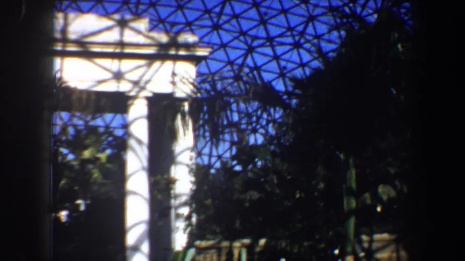 1964 Saint Louis greenhouse interior with a white column, dark foliage, stone edging, and shadows cast by the glass dome.