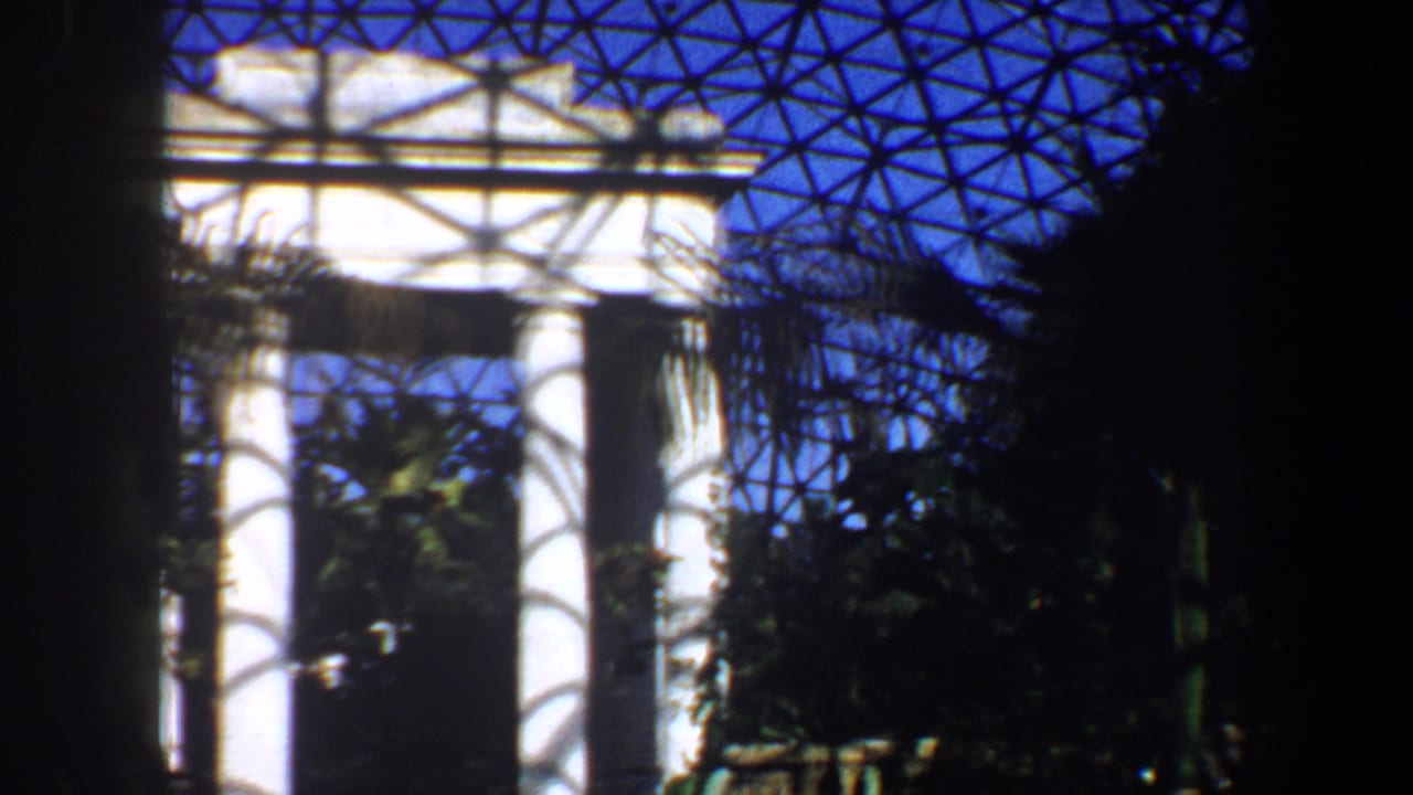 White columns beneath a geometric glass dome with plants and strong shadow patterns.
