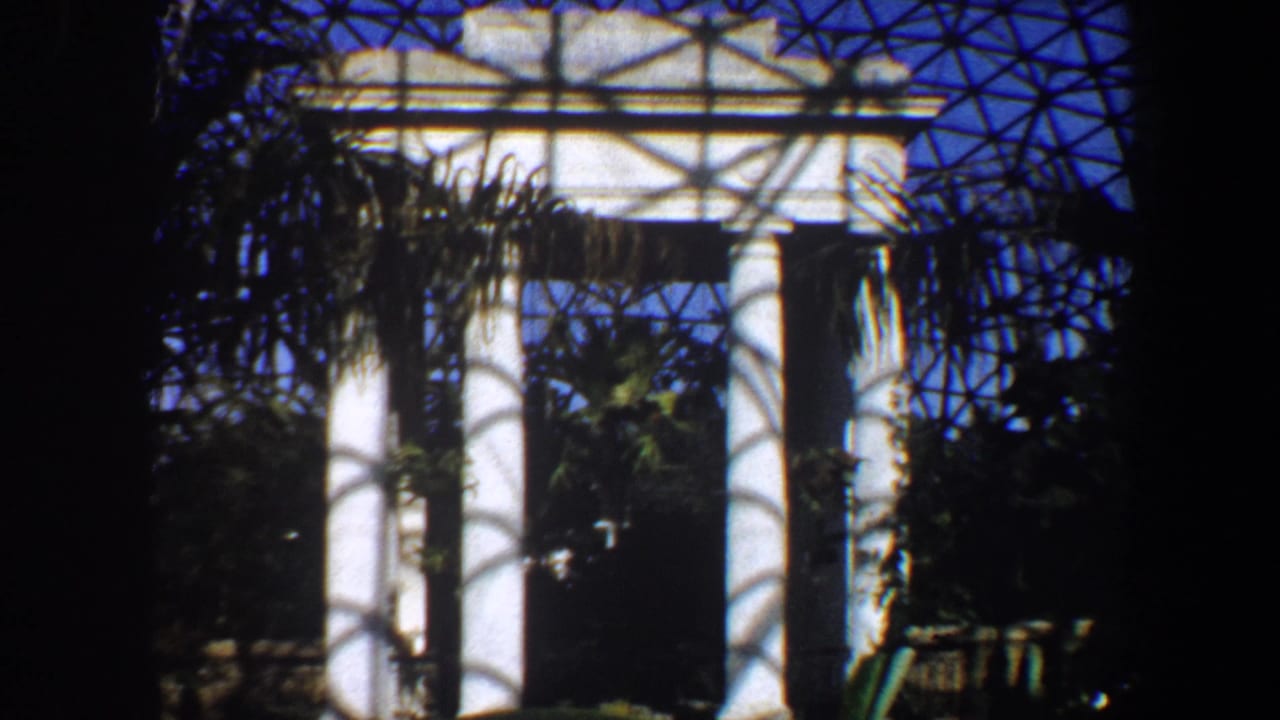 White-column structure framed by palm fronds and a glass dome lattice.
