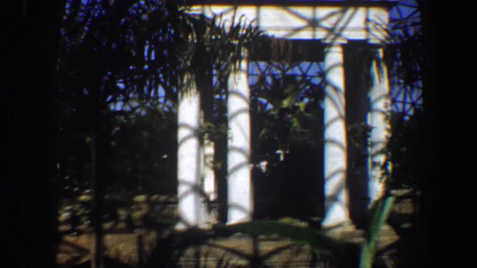 1964 Saint Louis conservatory view with white columns, tropical foliage, a low barrier, and dense shadows from the overhead glass lattice.