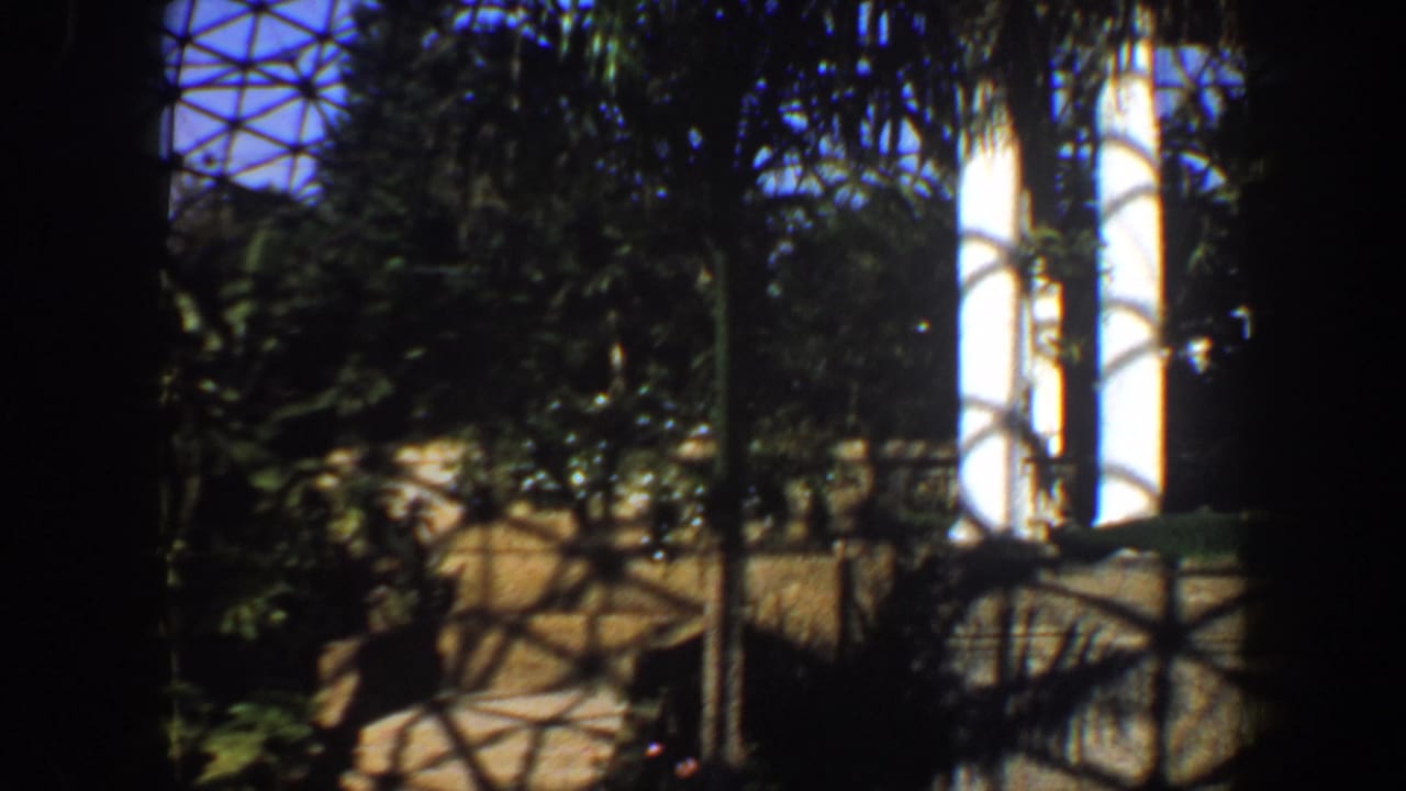Tropical plants and rockwork beneath a glass dome roof with strong shadows.