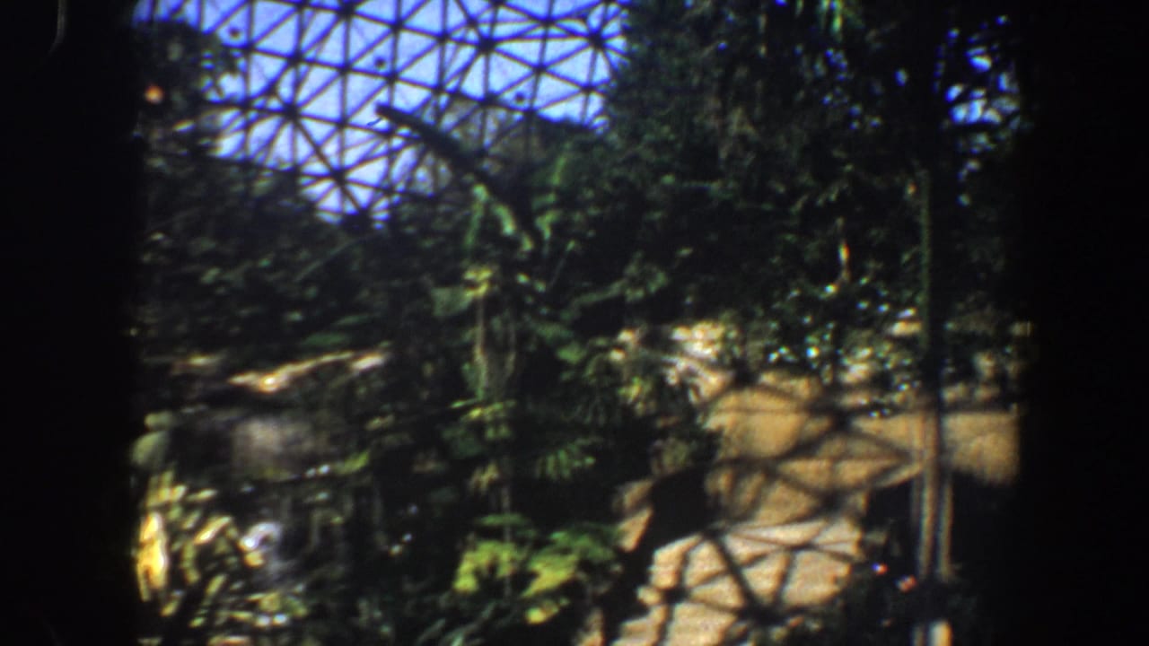 Saint Louis greenhouse interior on 8mm film, with tropical plants, stone edging, railings, and patterned dome shadows.
