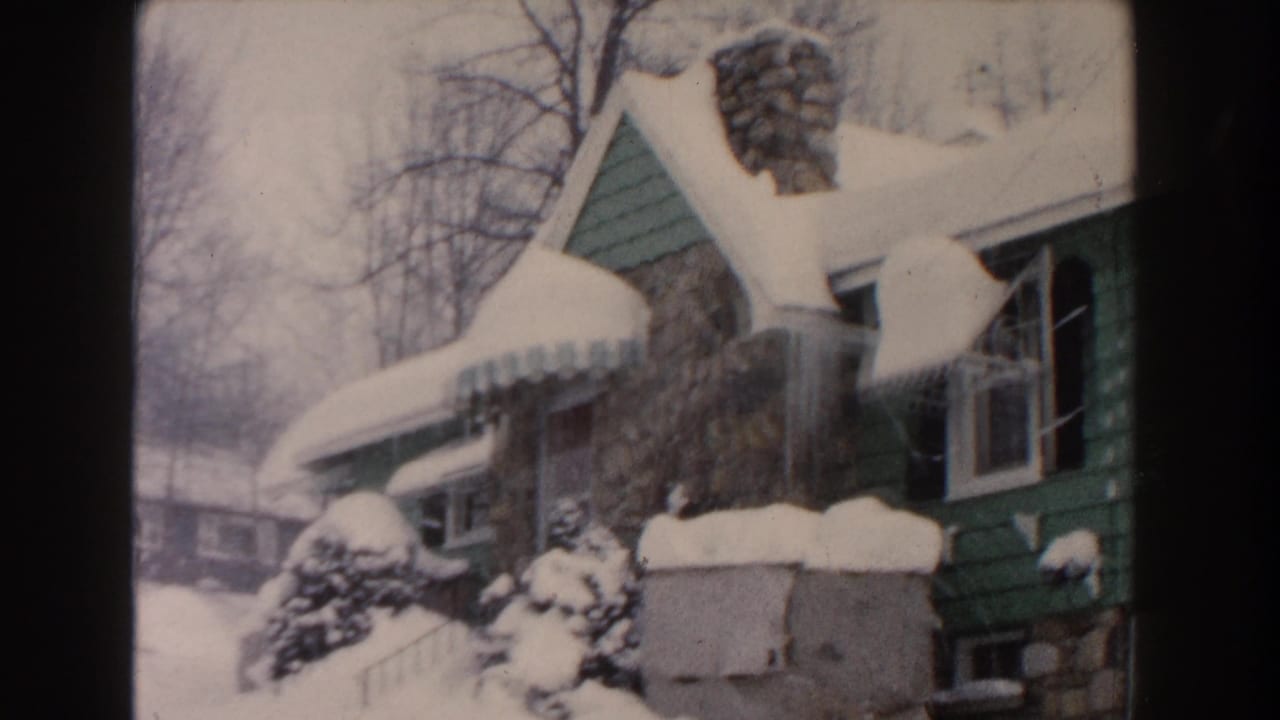 Snow-covered green house with stone chimney, awning, icicles, shrubs, and bare trees.